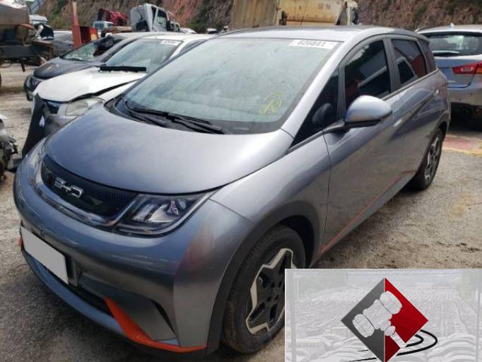 BYD DOLPHIN 23/24