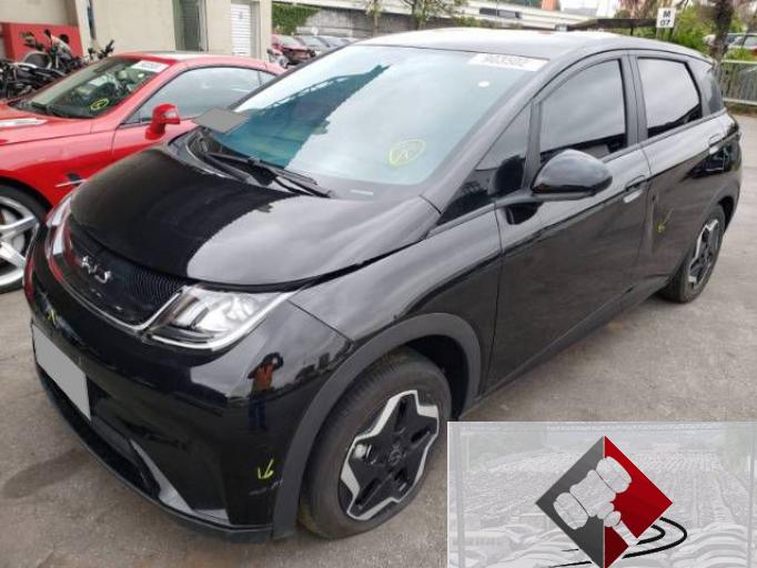 BYD DOLPHIN 23/24
